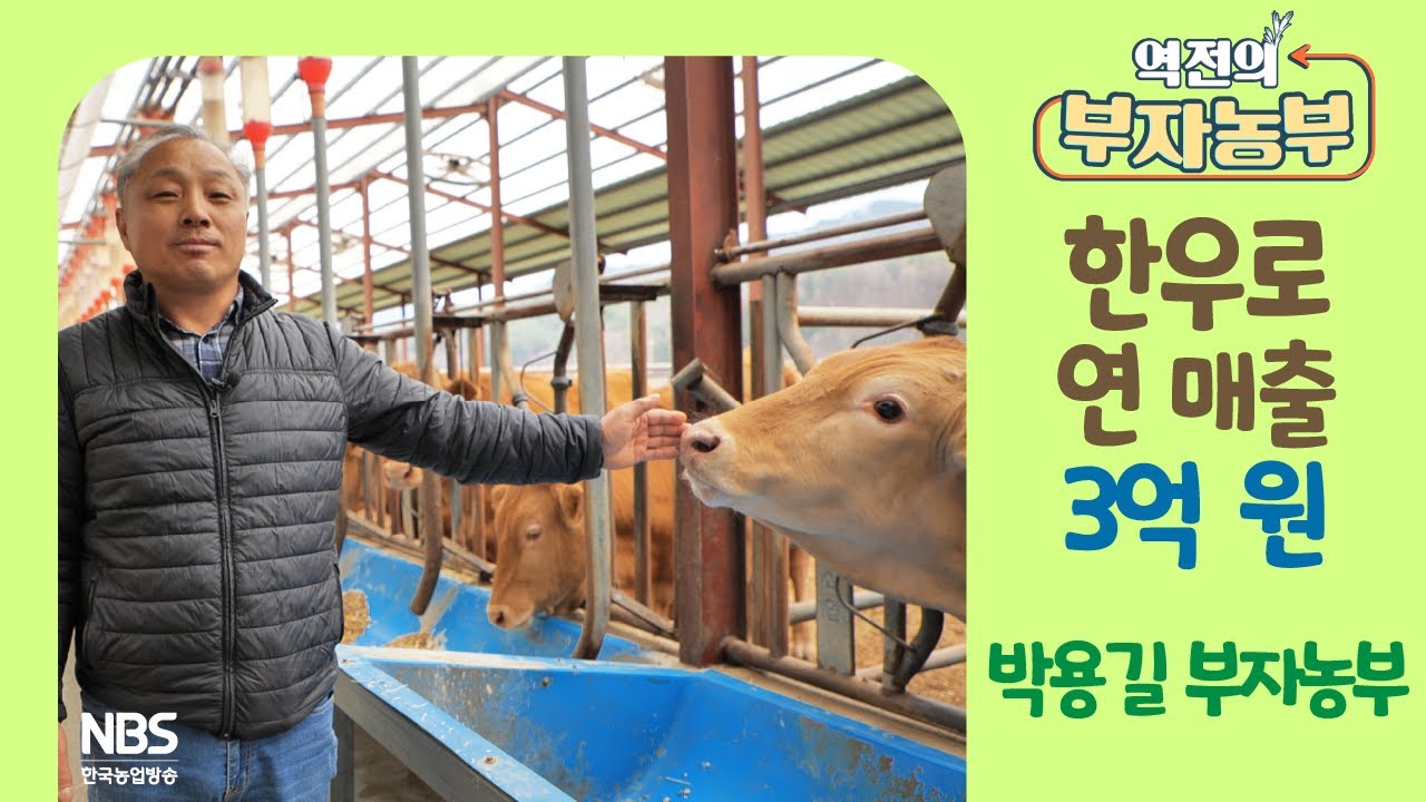 [역전의부자농부 297회] 한우로 연 매출 3억 원! 강원 홍천 박용길 부자농부
