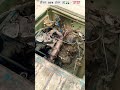 डीजल बीएस4 इंजन 🛺⚒️⚒️💯👍 #viral# short#YouTube trending#automobile #