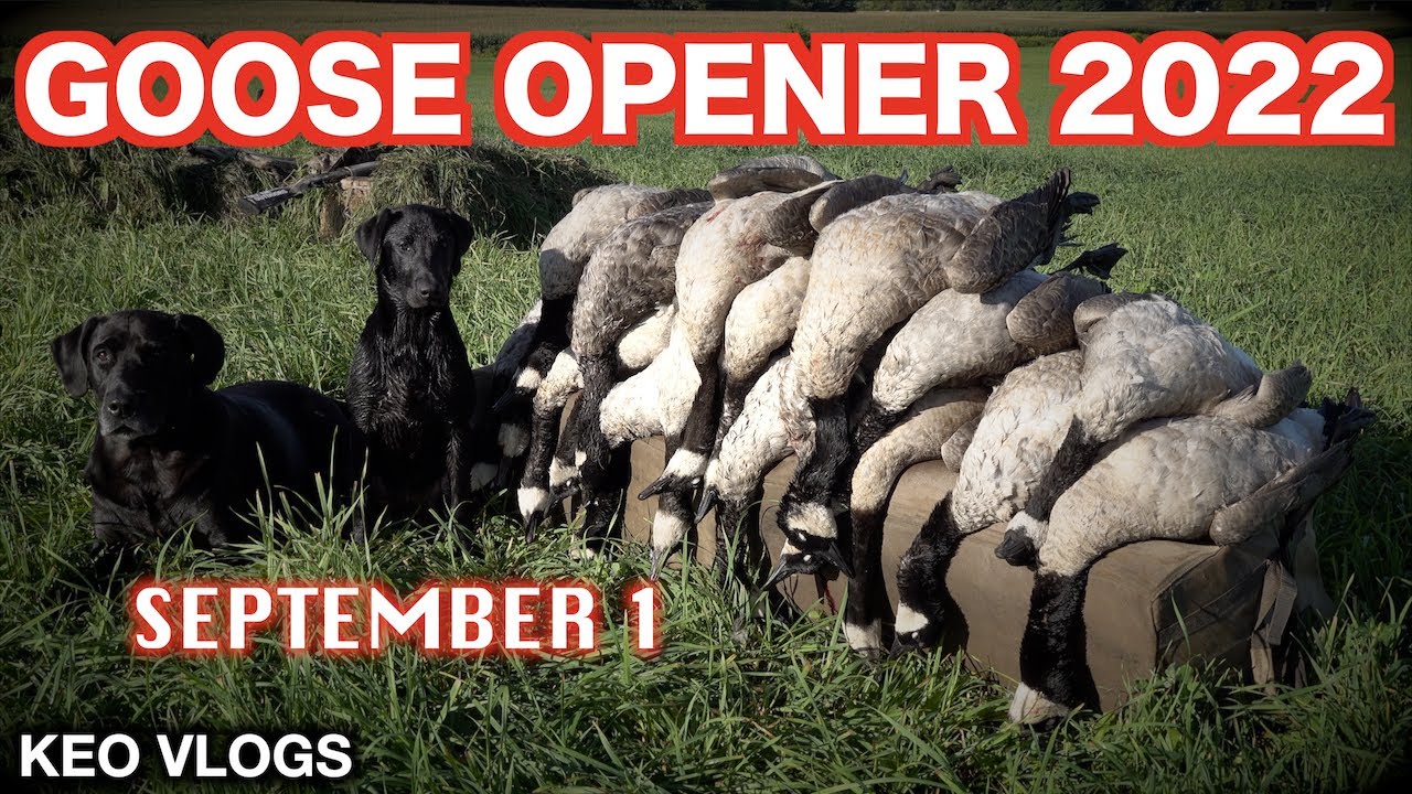 Goose Season Opener 2022 YouTube