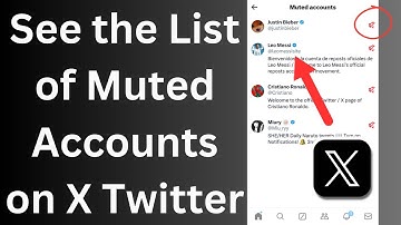 How do you see the List of Muted Accounts on X Twitter app