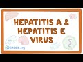 Hepatitis A and hepatitis E virus - causes, symptoms, diagnosis, treatment, pathology