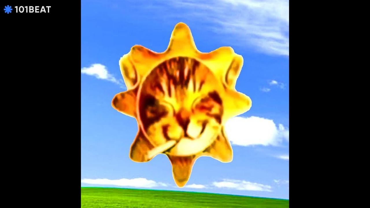 digicore hugecat | prod. by inoue/:?