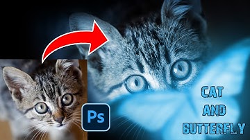Cat Butterfly Manipulation Photoshop Tutorial