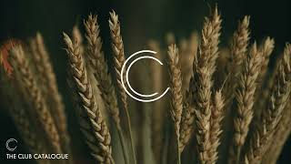 Ece Yilmaz - Postman (Extended Mix) [Get Physical Music]