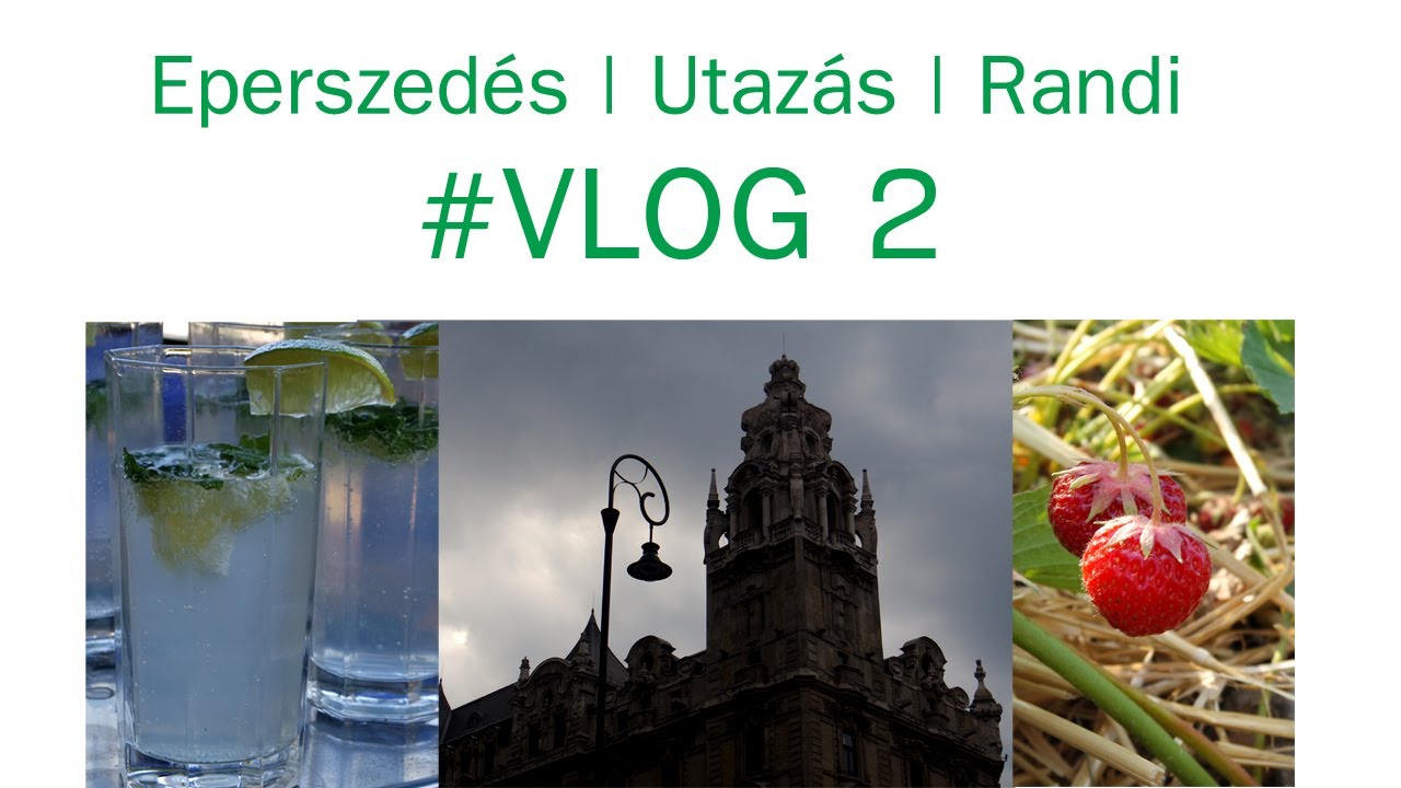 1live társkereső