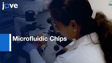 Microfluidic Chips used for Compartmentalizing Neurons | Protocol Preview