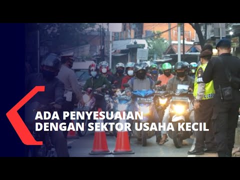 Video: Fakta dan Fakta Ferret Dasar