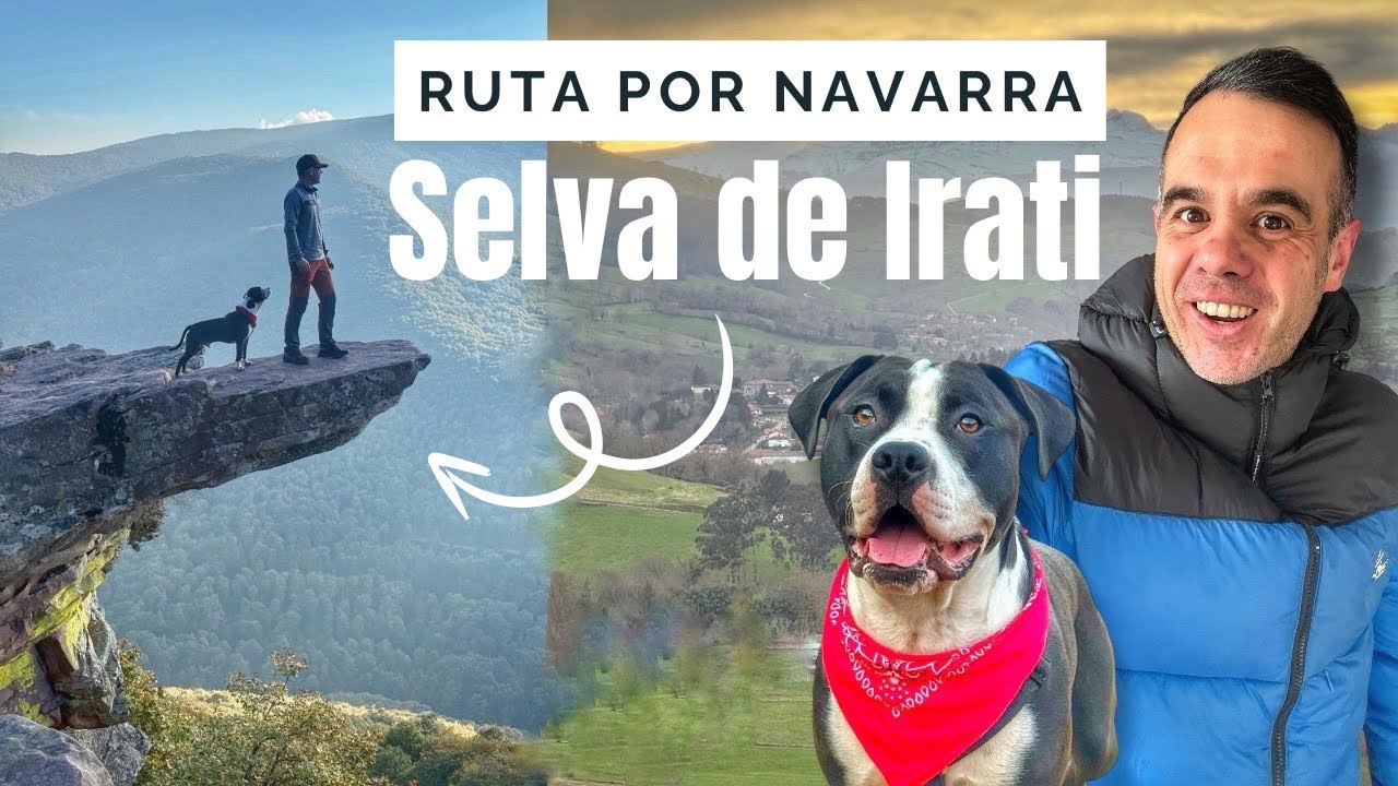 Así es Viajar en una Volkswagen de 1988 por Navarra | Ruta por la Selva de Irati (España)