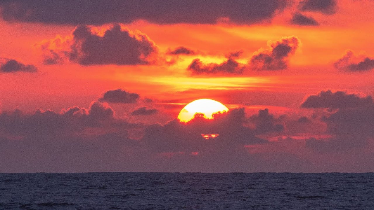 LAC HOURTIN CARCANS, RESERVE NATURELLE DE L'ETANG DE COUSSEAU, CARCANS PLAGE.
