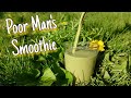 Poor mans smoothie  foraging a free vitamin drink 