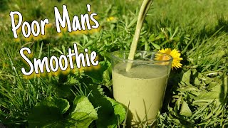 Poor Man's Smoothie - Foraging A Free Vitamin Drink 🌱🍹 by Home Is Where Our Heart Is 5,117 views 1 year ago 10 minutes, 2 seconds