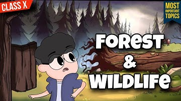 Forest and Wildlife Class 10 Cbse (Animation)| Class 10 Forest and Wildlife Resources | One Shot