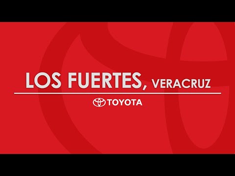 Distribuidores - Los Fuertes, Puebla