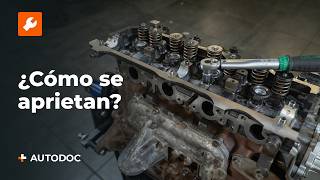 Cambio Culata AUDI - vídeo consejos gratis