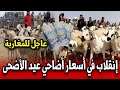 عاجل انقلاب في اسعار اضاحي عيد الاضحى بالمغرب أخبار المغرب اليوم