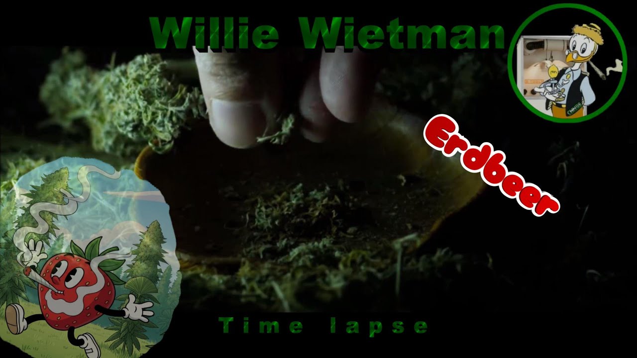 Week 1 tot 14 met Erdbeer