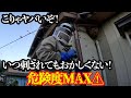 【緊急出動】ご近所さんがあぶない！こんなところに凶暴スズメバチの巣が！