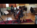 Ave Maria  ( Bach  - Gounod )