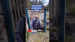 Gartentür #Meme #MemeCut #CapCut #txoivi #garten #aufwärmen #streichen #rostiger #Frühling #Hamburg