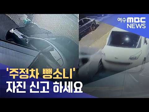 &amp;#39;주정차 뺑소니&amp;#39; 자진 신고 하세요 -R (230224금/뉴스데스크)