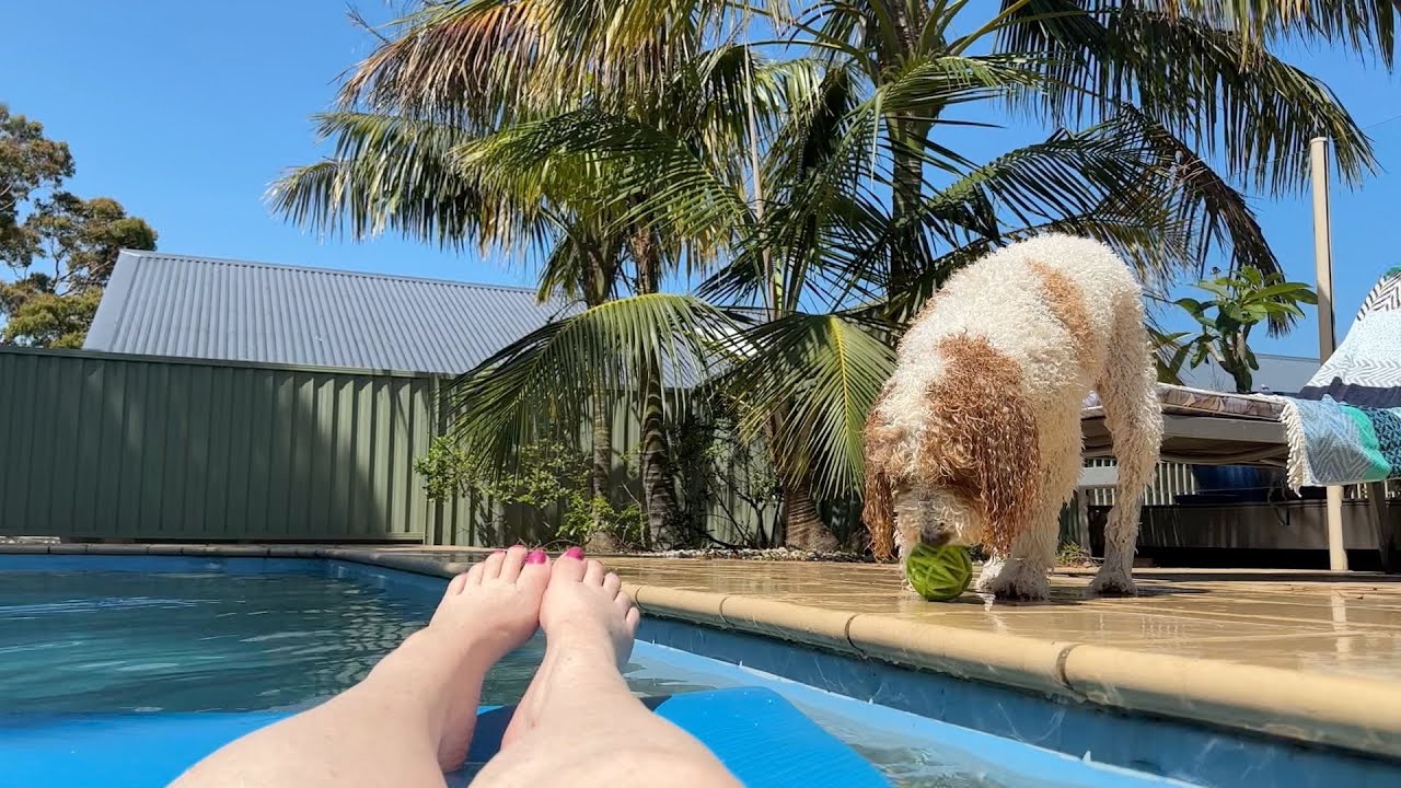 It finally feels like Summer : Weekly vlog - 2nd - 8th Jan, 2022 - YouTube