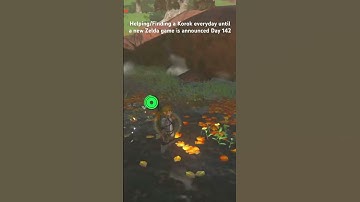 Helping/Finding a Korok everyday until a new Zelda game is announced Day 142