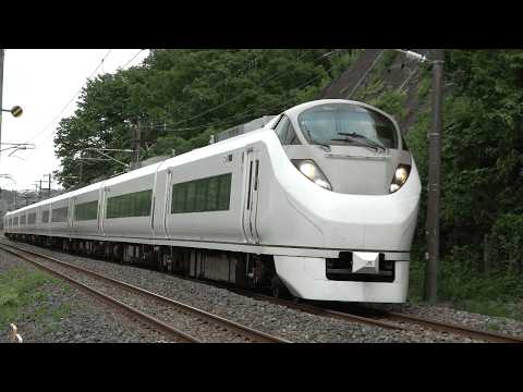 【仙台ー品川のロングラン】常磐線 E657系K-1(651系オマージュカラー)編成（22M  特急ひたち22号  仙台行き）泉ー植田間を通過