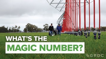 Applied nitrogen under irrigation - what’s the magic number?