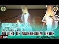 Combustion Of Magnesium Ribbon Experiment | World Of Metals And Non-Metals | Class 7 Curiosity
