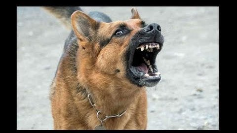 agent ransack ♦  the fastest file searching utility.. for FREEEEEEEEEEEE