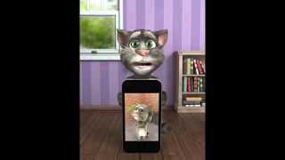 Talking Tom beatbox echo screenshot 4