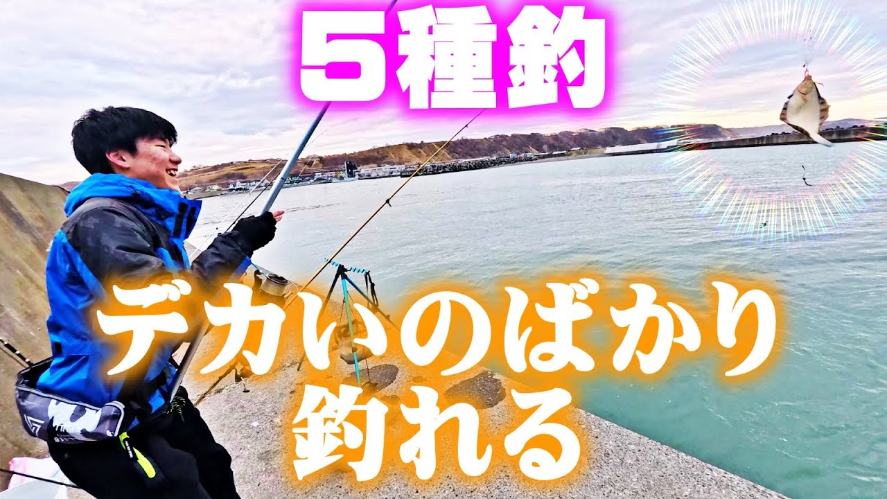 【釣り】北海道・デカいのばかり・５種釣・カレイ類・ソイ・アブラコ（アイナメ）等：2025年4月