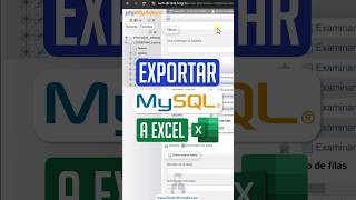 ¿Cómo exportar tus datos de MySQL a Excel fácil y rápido?