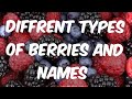 Different Types Of Berries And Names