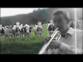 jazz for cows but it&#39;s earrape shreksophone