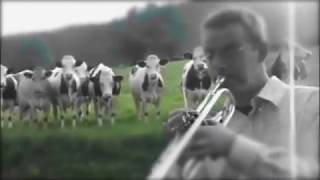 jazz for cows but it's earrape shreksophone