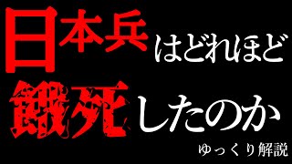 【ゆっくり解説】餓死、病死した日本兵とその記録－76年前の戦争