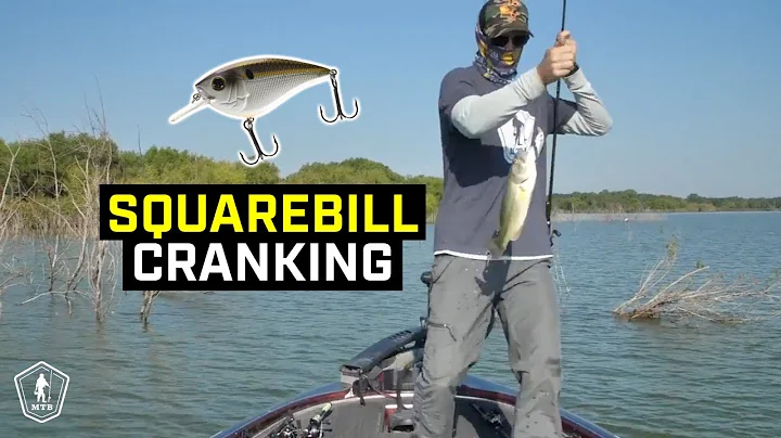 Squarebill Crankbait Fishing Tips To Catch More Shallow Water Bass