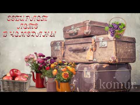 СОБИРАЕТ ЛЕТО В ЧЕМОДАНЫ Музыкальная открытка komur