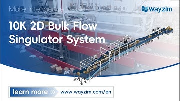 Wayzim: Parcel Flow Singulator System | Express Delivery
