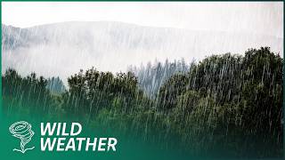 The Deadly Effect Of Rain