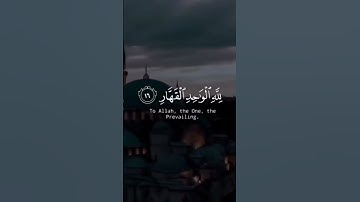 الشيخ خالد الجليل قرآن كريم