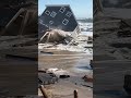 WATCH: Beachfront Homes Crumble Into Ocean as Waves Pound Outer Banks Coast #shorts