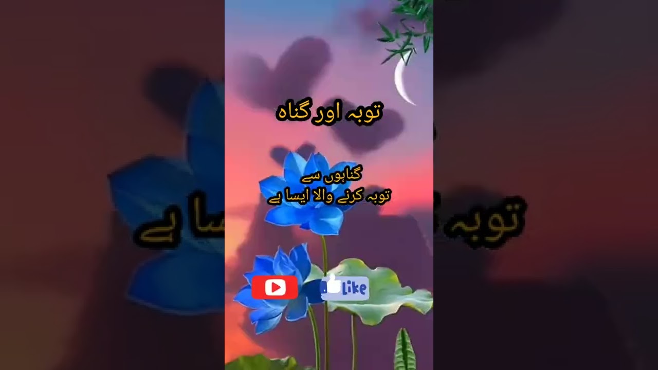 #short / islamic / hadees mubarak /short hadees / hadees status / hadees in urdu / #hadees / hadees