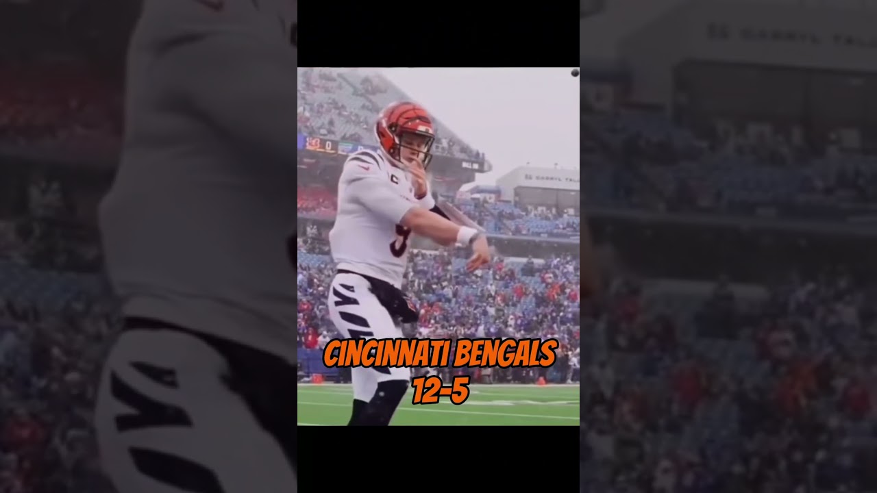 AFC North 2024 Record Predictions