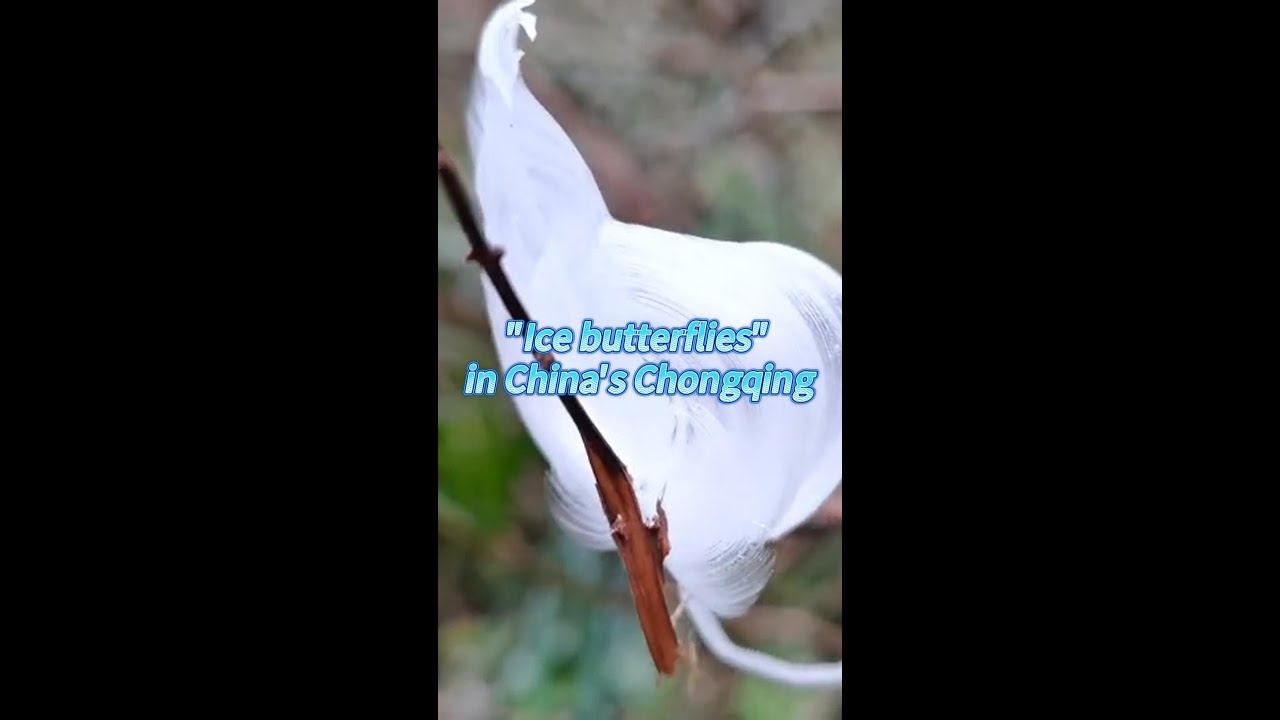 "Ice butterflies" in China's Chongqing