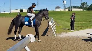 Coco G Works 5 Furlongs – Race Plans Taking Shape