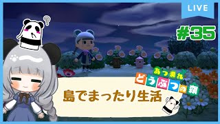 #35ハニワ登場⁉のんびり島くらしをするのだ【＃あつまれどうぶつの森】