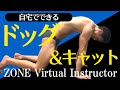 自宅でできるドッグ&キャット【ZONEバーチャルインストラクター】