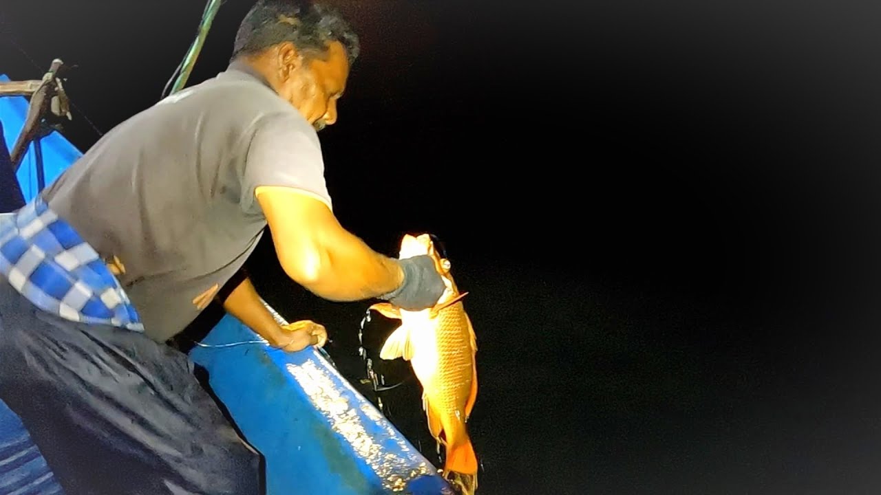 Catching Mangrove Jack, Eel Fish & Blubberlip Snapper in the Deep Sea